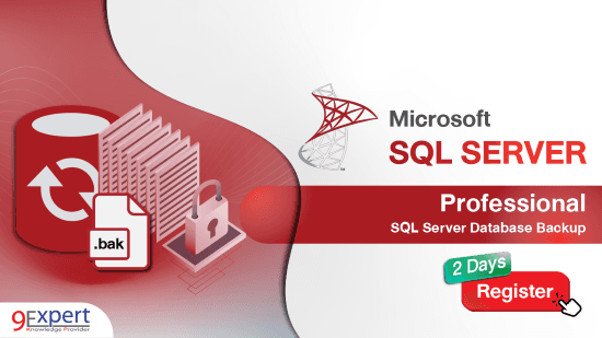 Professional SQL Server Database Backup