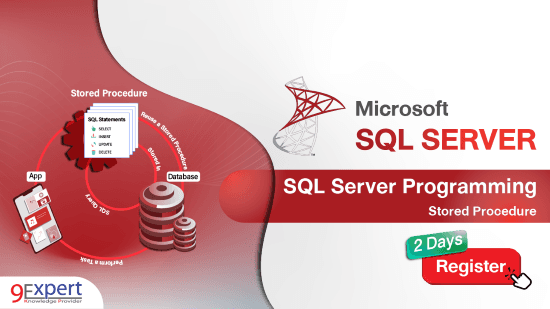 SQL Server Programming - Stored Procedure