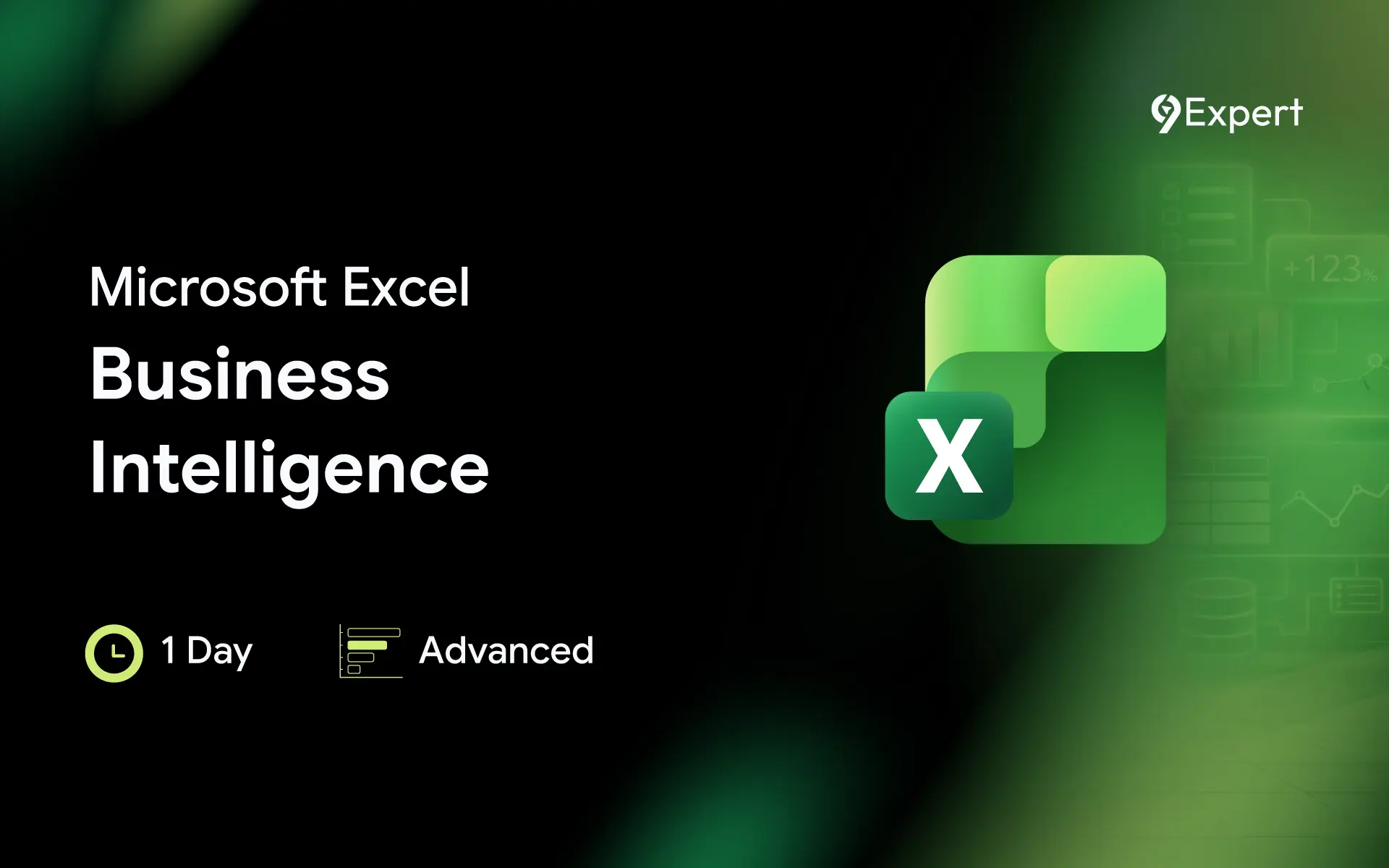 Microsoft Excel Business Intelligence