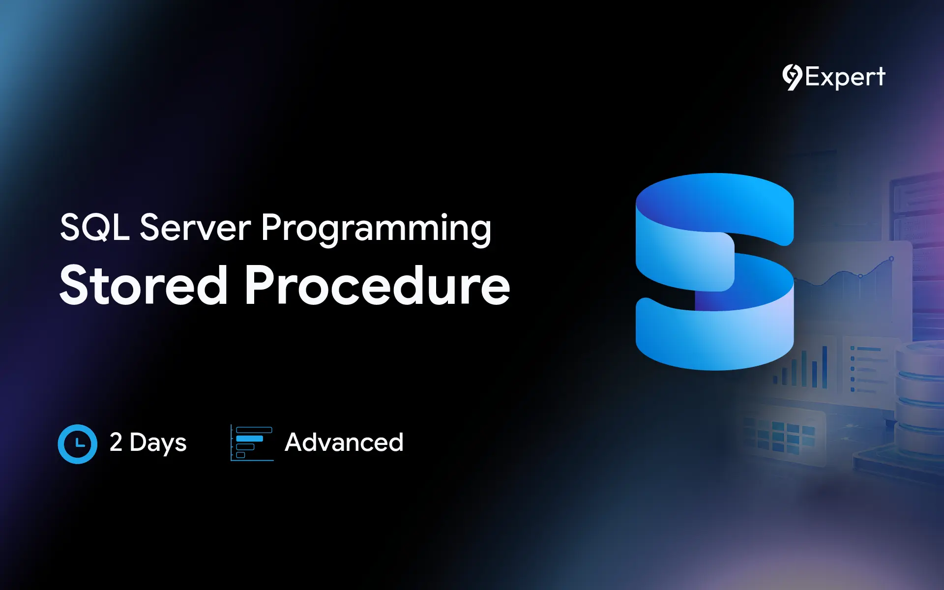 SQL Server Programming - Stored Procedure