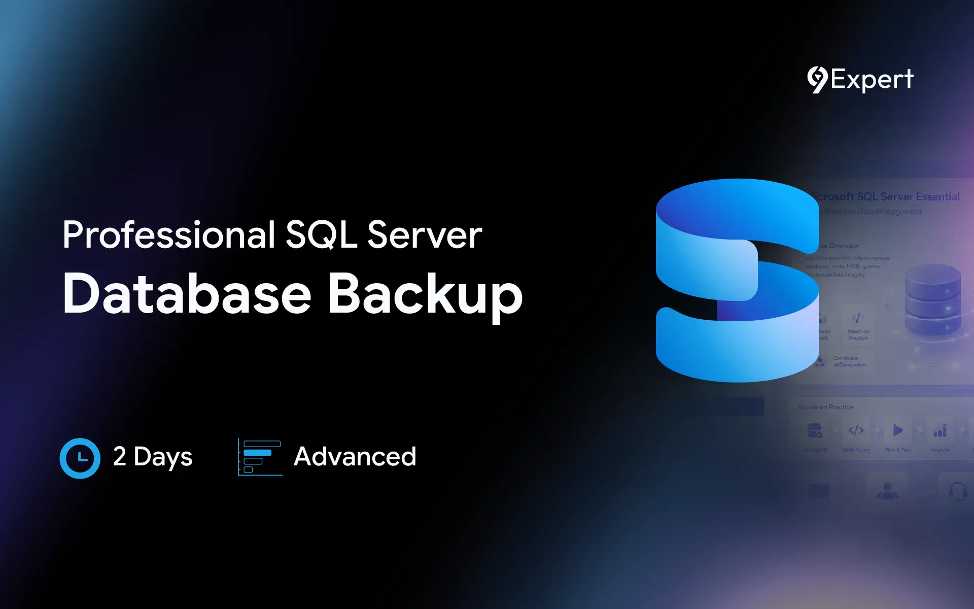 Professional SQL Server Database Backup