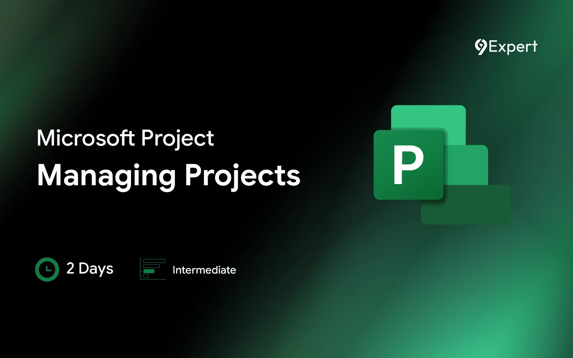 Microsoft Project Managing Projects